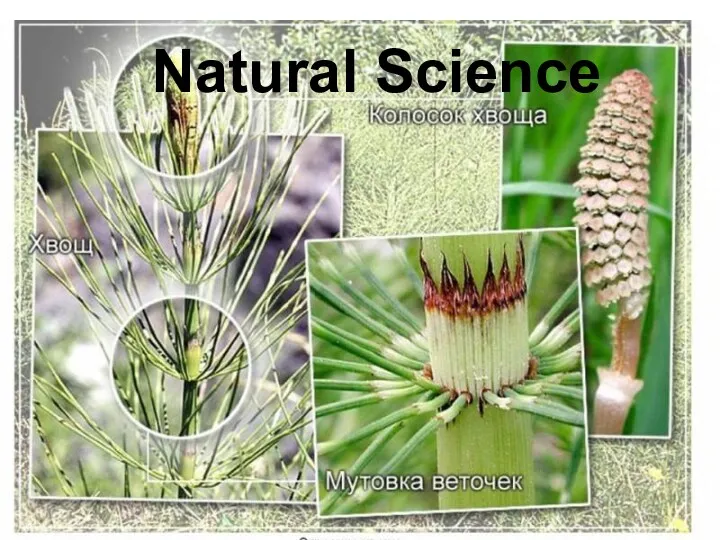 Natural Science