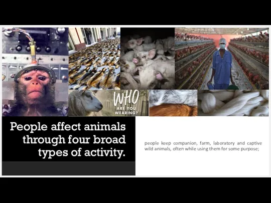 People affect animals through four broad types of activity. people