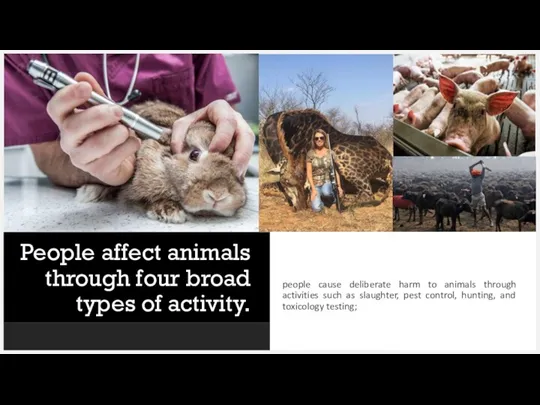 People affect animals through four broad types of activity. people