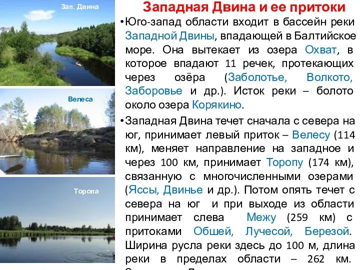 Западная Двина и ее притоки Юго-запад области входит в бассейн реки Западной Двины,