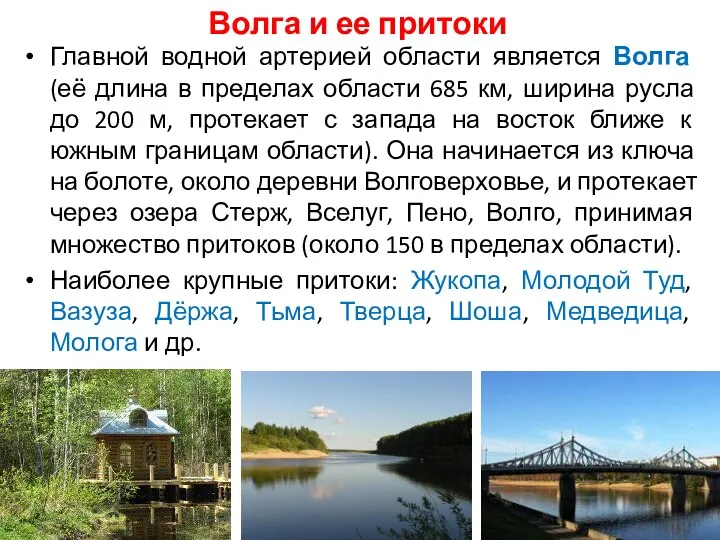 Волга и ее притоки Главной водной артерией области является Волга (её длина в
