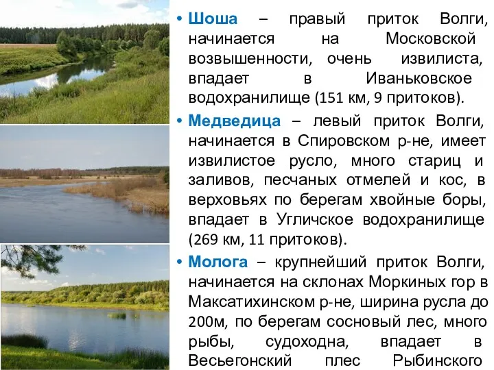 Шоша – правый приток Волги, начинается на Московской возвышенности, очень