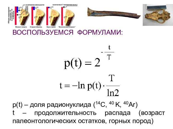 ВОСПОЛЬЗУЕМСЯ ФОРМУЛАМИ: p(t) – доля радионуклида (14C, 40 K, 40Ar)