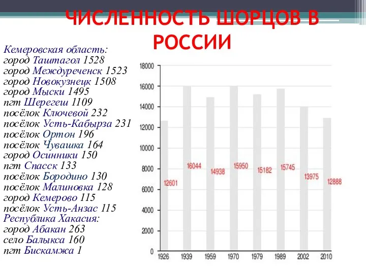 ЧИСЛЕННОСТЬ ШОРЦОВ В РОССИИ Кемеровская область: город Таштагол 1528 город