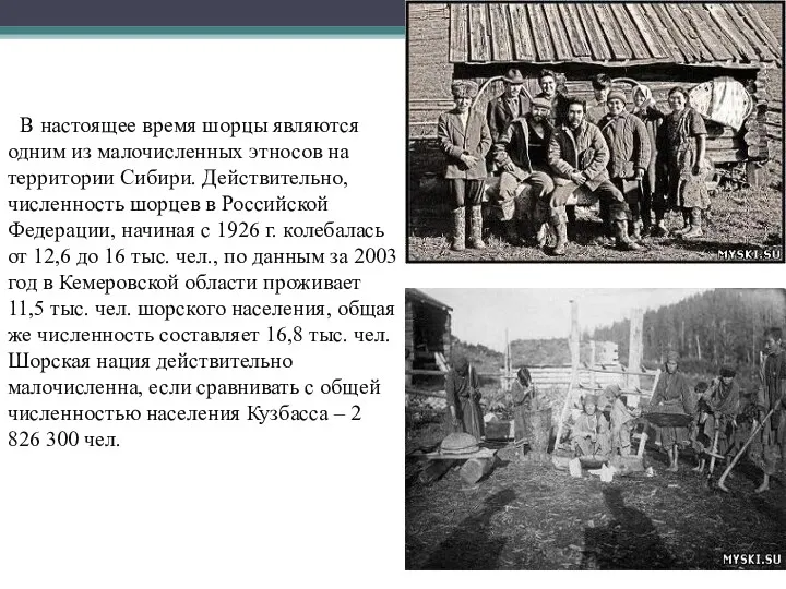 В настоящее время шорцы являются одним из малочисленных этносов на