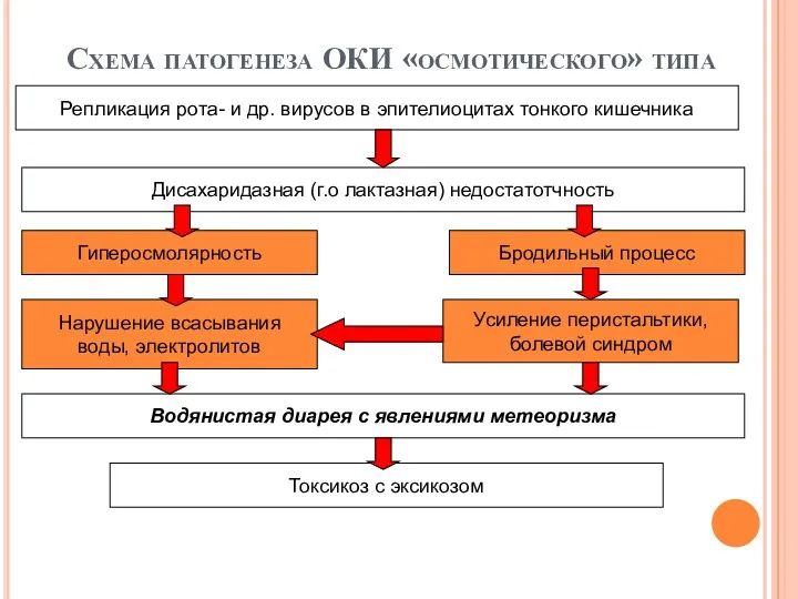 Схема патогенеза ОКИ «осмотического» типа Репликация рота- и др. вирусов
