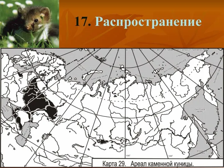 17. Распространение