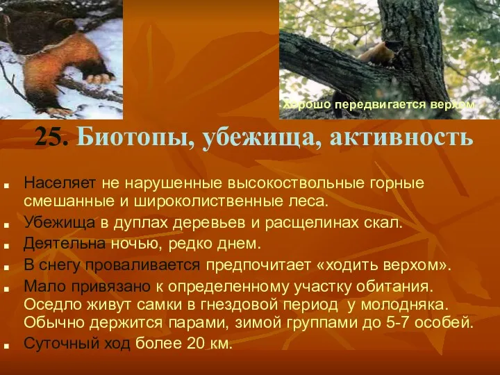 25. Биотопы, убежища, активность Населяет не нарушенные высокоствольные горные смешанные