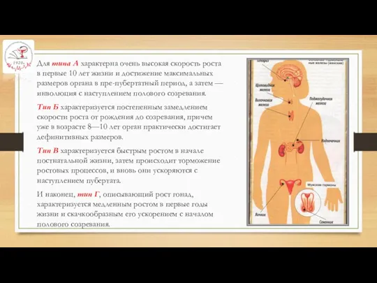 Для типа А характерна очень высокая скорость роста в первые