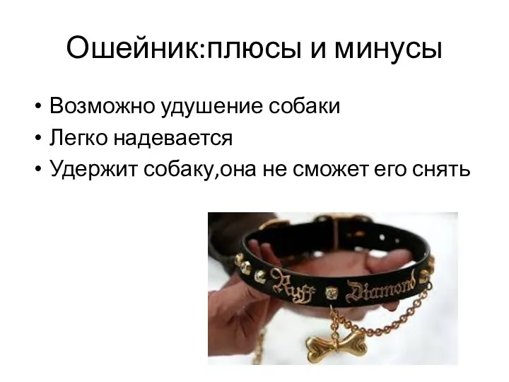 Ошейник:плюсы и минусы Возможно удушение собаки Легко надевается Удержит собаку,она не сможет его снять