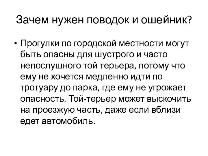 Зачем нужен поводок и ошейник? Прогулки по городской местности могут