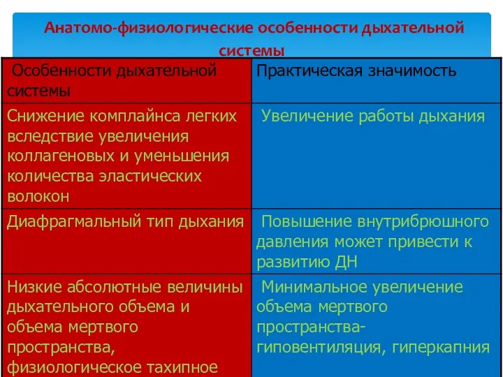 Анатомо-физиологические особенности дыхательной системы