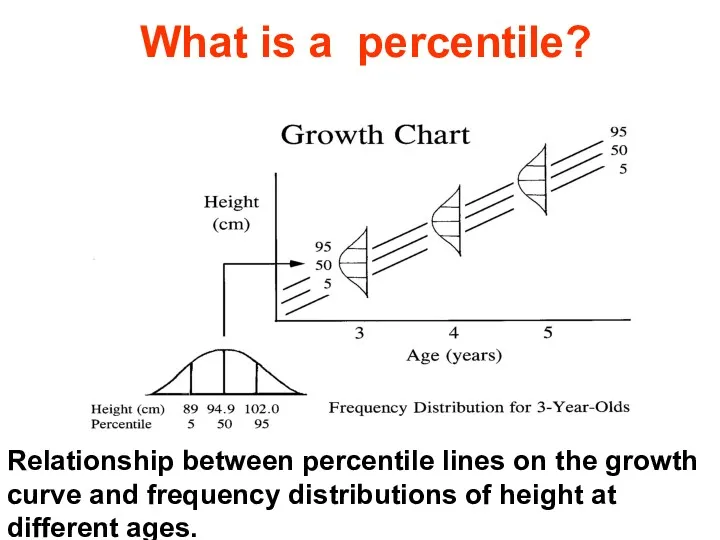 What is a percentile? Relationship between percentile lines on the