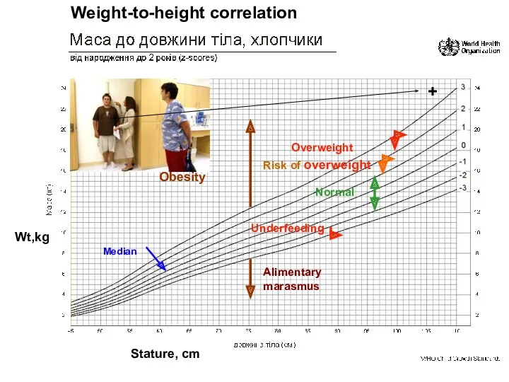 Median Underfeeding Normal Alimentary marasmus Risk of overweight Overweight Obesity Wt,kg Stature, cm Weight-to-height correlation +