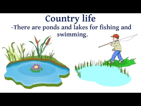 Country life There are ponds and lakes for fishing and swimming.