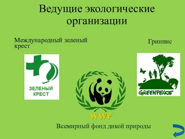 Ведущие экологические организации Международный зеленый крест Всемирный фонд дикой природы Гринпис