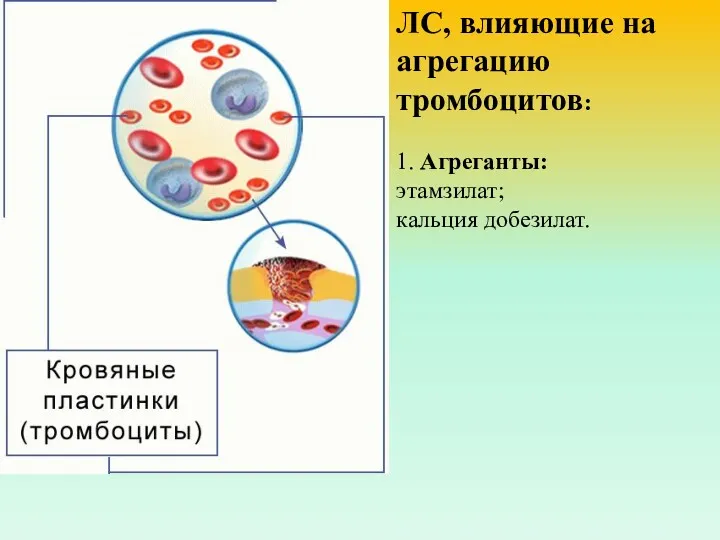 ЛС, влияющие на агрегацию тромбоцитов: 1. Агреганты: этамзилат; кальция добезилат.