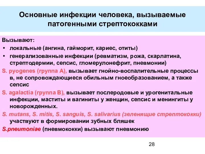 Основные инфекции человека, вызываемые патогенными стрептококками Вызывают: локальные (ангина, гайморит,