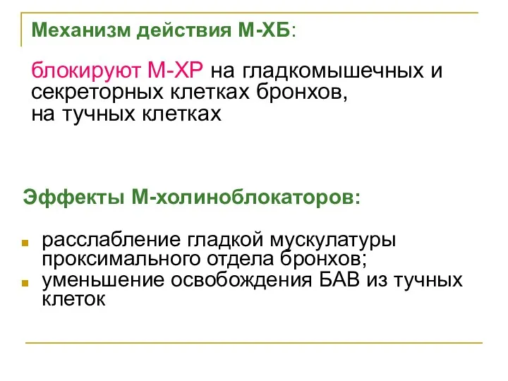 Механизм действия М-ХБ: блокируют М-ХР на гладкомышечных и секреторных клетках