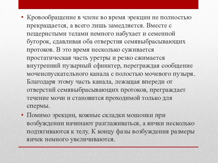 Кровообращение в члене во время эрекции не полностью прекращается, а