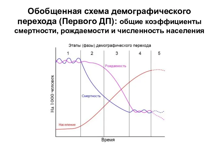 Обобщенная схема демографического перехода (Первого ДП): общие коэффициенты смертности, рождаемости и численность населения