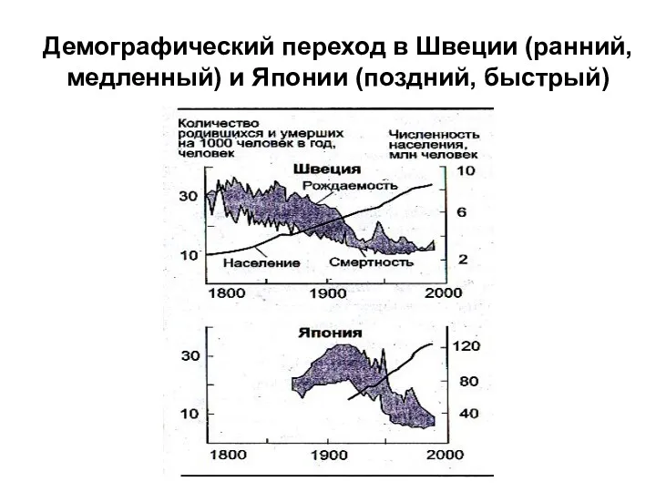 Демографический переход в Швеции (ранний, медленный) и Японии (поздний, быстрый)