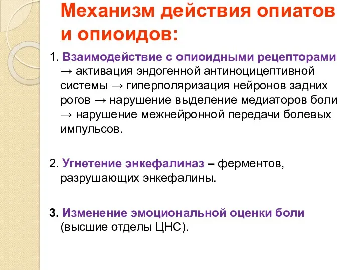 Механизм действия опиатов и опиоидов: 1. Взаимодействие с опиоидными рецепторами