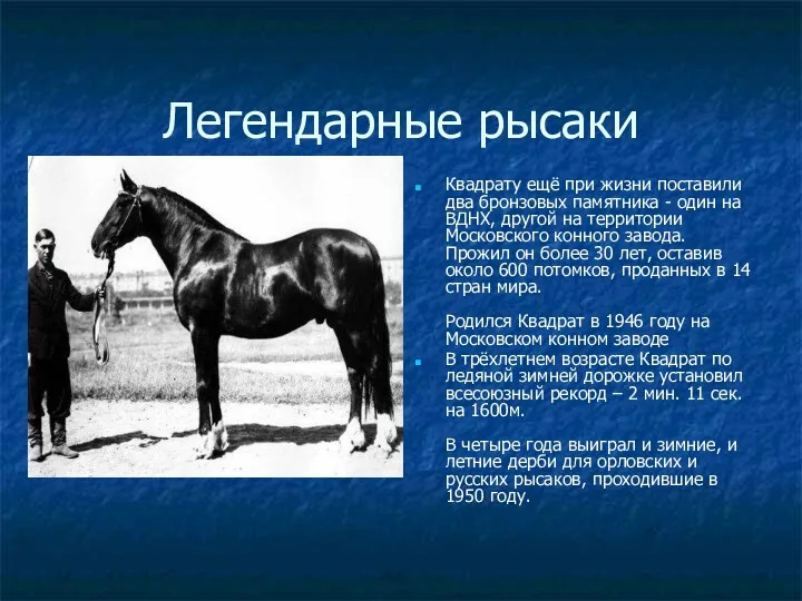 Легендарные рысаки Квадрату ещё при жизни поставили два бронзовых памятника