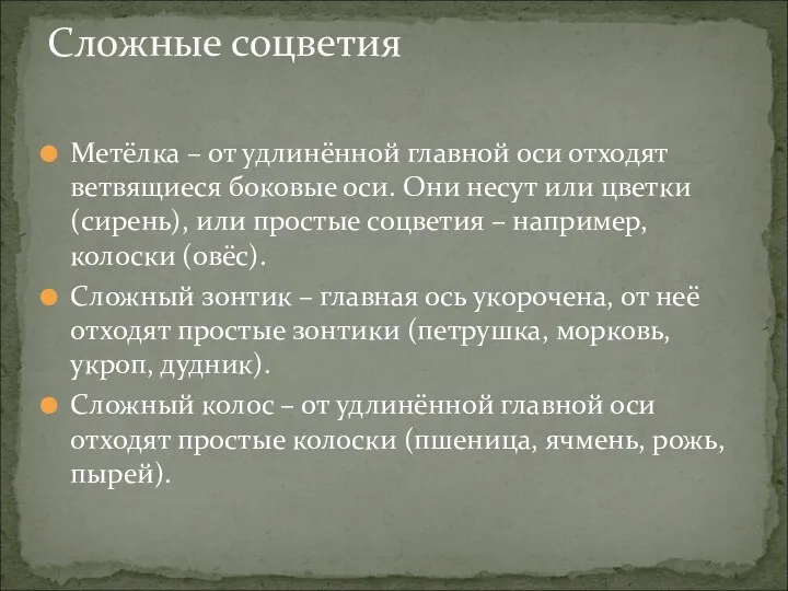 Метёлка – от удлинённой главной оси отходят ветвящиеся боковые оси.