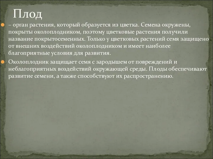 – орган растения, который образуется из цветка. Семена окружены, покрыты