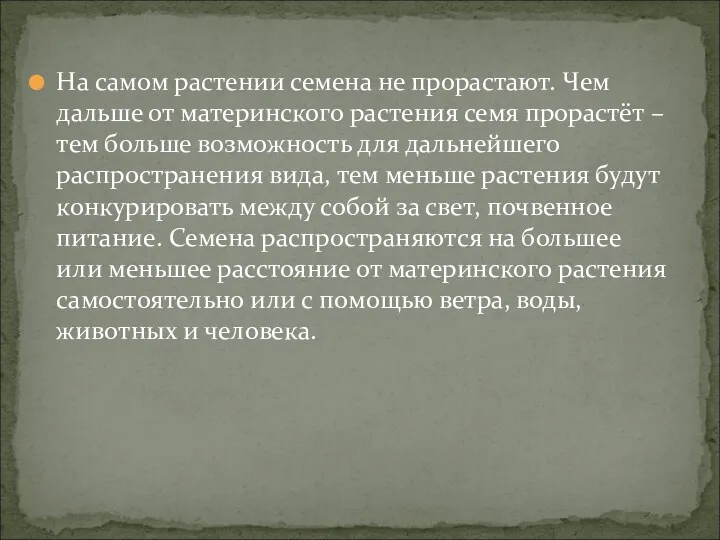 На самом растении семена не прорастают. Чем дальше от материнского