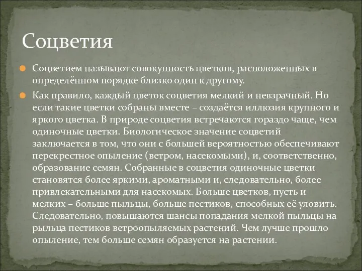 Соцветием называют совокупность цветков, расположенных в определённом порядке близко один