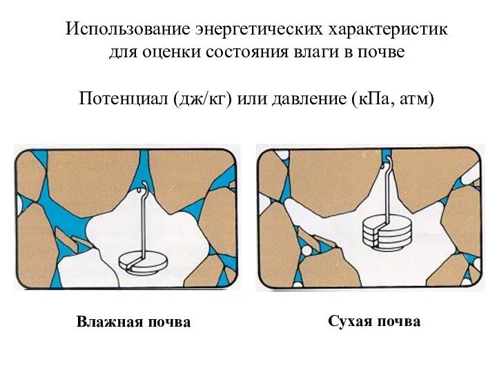 Использование энергетических характеристик для оценки состояния влаги в почве Потенциал