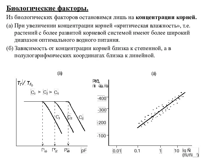 Биологические факторы. Из биологических факторов остановимся лишь на концентрации корней.