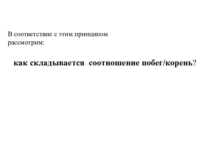 В соответствие с этим принципом рассмотрим: как складывается соотношение побег/корень?