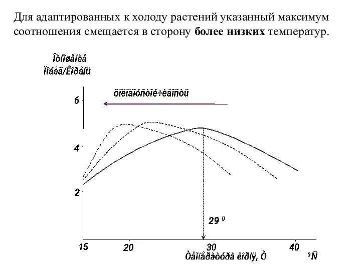 Для адаптированных к холоду растений указанный максимум соотношения смещается в сторону более низких температур.