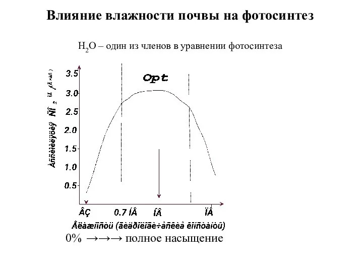 Влияние влажности почвы на фотосинтез Н2О – один из членов