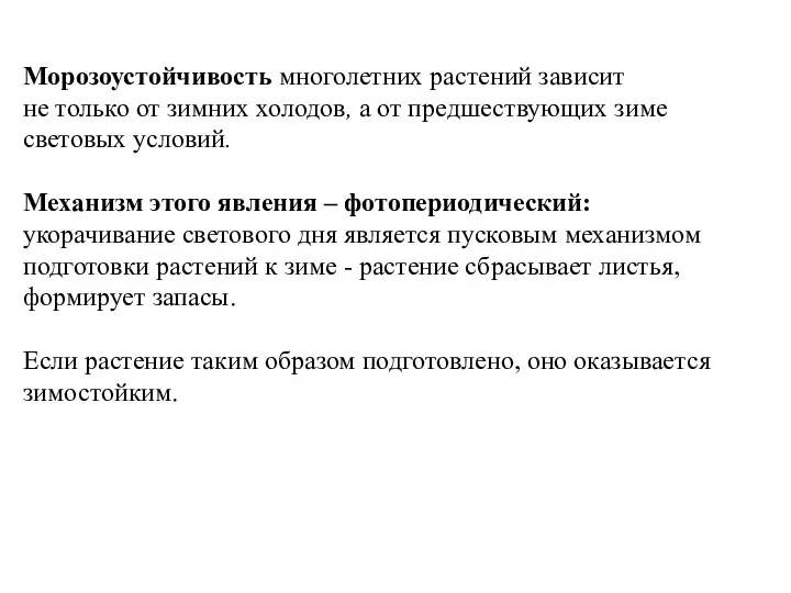 Морозоустойчивость многолетних растений зависит не только от зимних холодов, а