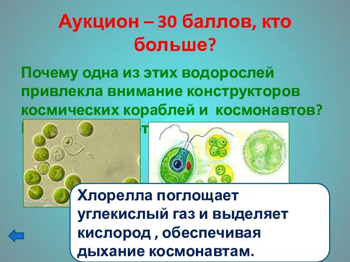 Аукцион – 30 баллов, кто больше? Почему одна из этих