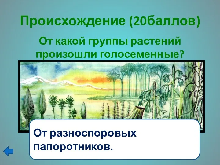 Происхождение (20баллов) От какой группы растений произошли голосеменные? От разноспоровых папоротников.