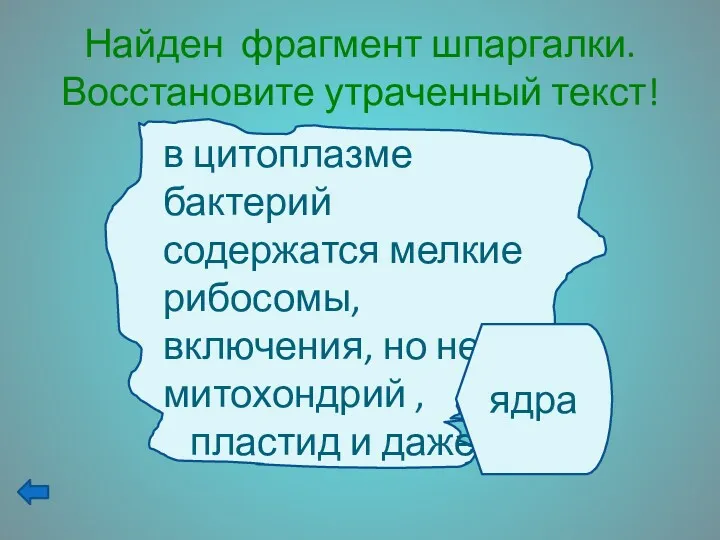 Найден фрагмент шпаргалки. Восстановите утраченный текст! ядра