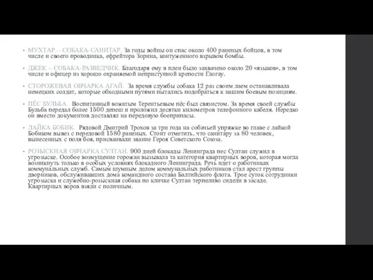 МУХТАР – СОБАКА-САНИТАР. За годы войны он спас около 400