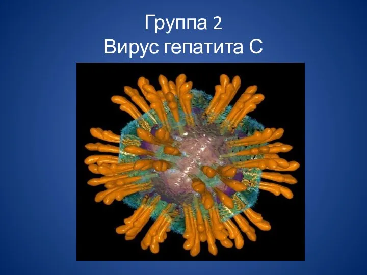 Группа 2 Вирус гепатита С