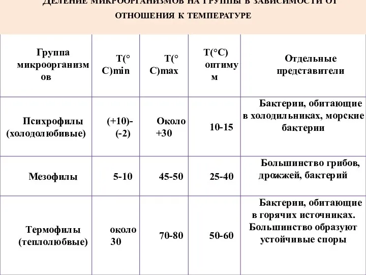 Деление микроорганизмов на группы в зависимости от отношения к температуре