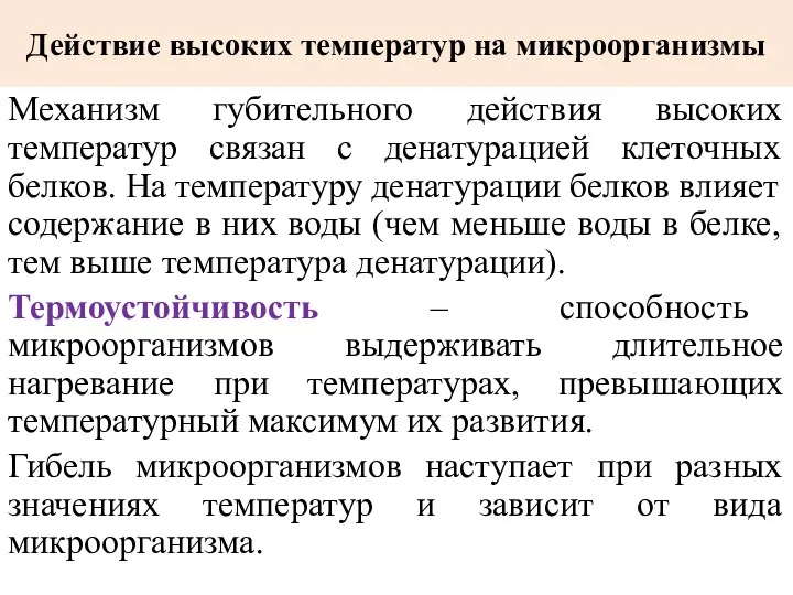 Действие высоких температур на микроорганизмы Механизм губительного действия высоких температур