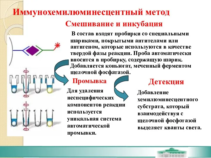 Иммунохемилюминесцентный метод В состав входят пробирки со специальными шариками, покрытыми