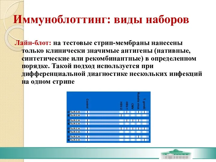 Иммуноблоттинг: виды наборов Лайн-блот: на тестовые стрип-мембраны нанесены только клинически