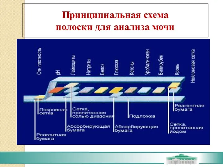 Принципиальная схема полоски для анализа мочи