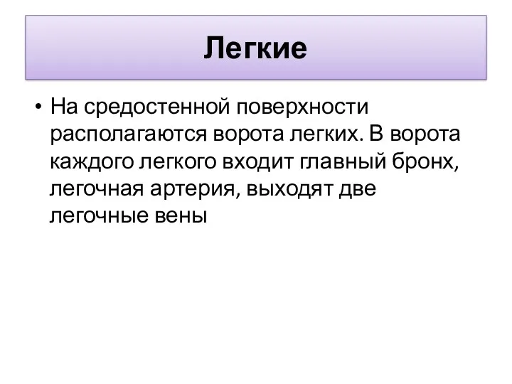 Легкие На средостенной поверхности располагаются ворота легких. В ворота каждого