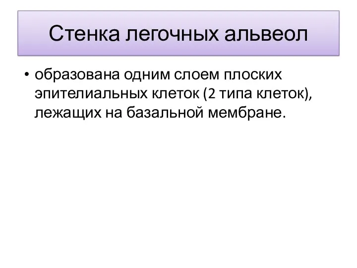 Стенка легочных альвеол образована одним слоем плоских эпителиальных клеток (2 типа клеток), лежащих на базальной мембране.